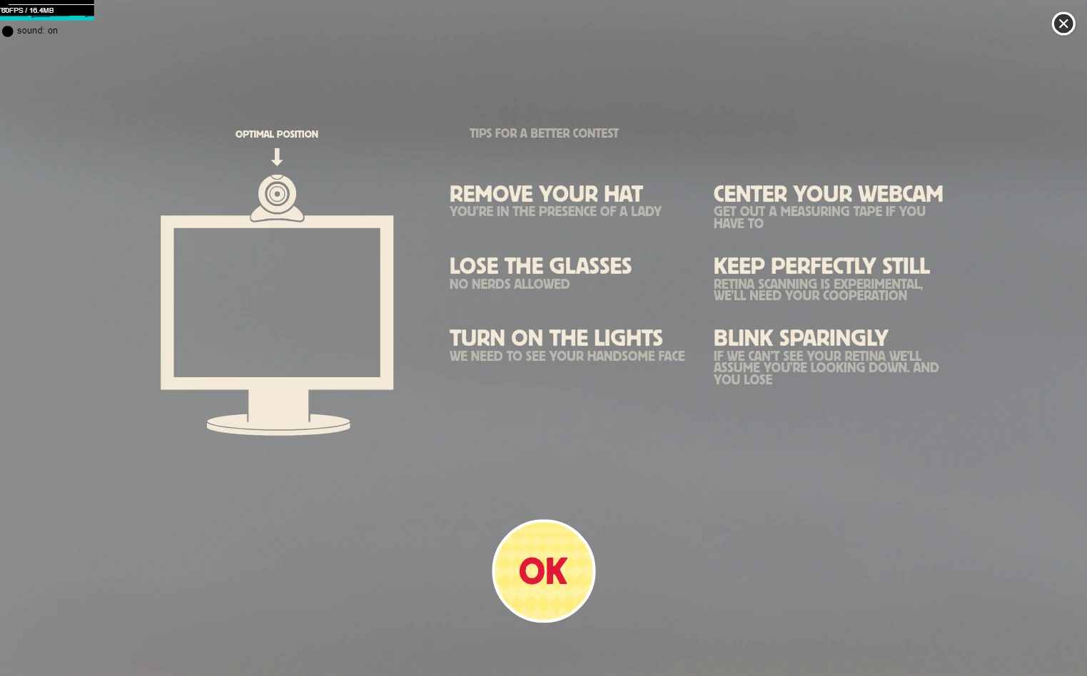 Special instructions for the webcam-based version