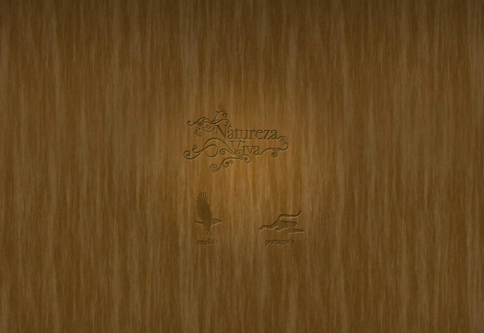 Language selection. Most of the interface had a dynamically applied embossed look.