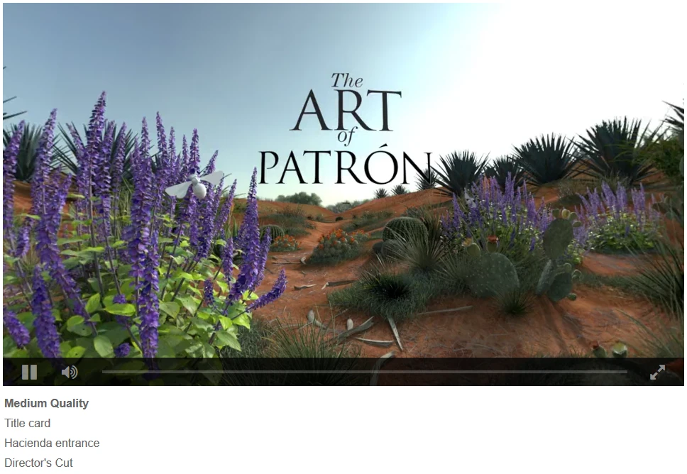 I also created a small 360" web video player so the client could review our production work in a more interactive fashion, as they could click and move the camera to look around.