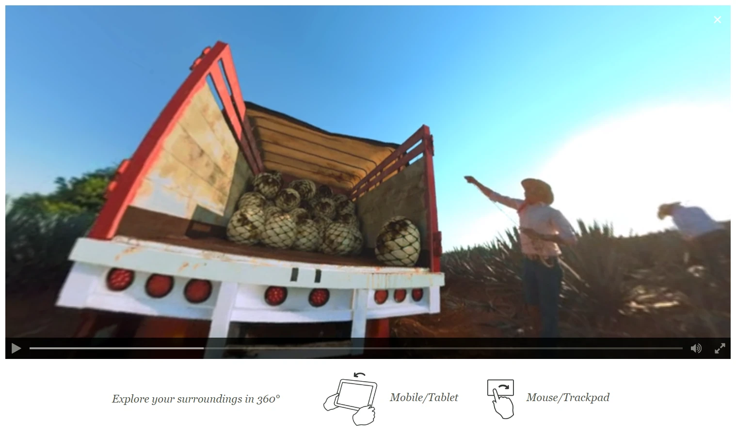 The web video player became a 360" player on Patrón's website; using the gyroscope, iPad visitors could move their device around to look at the environment as if they were there.